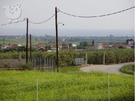 ΠΩΛΕΙΤΑΙ ΜΟΝΟΚΑΤΟΙΚΙΑ 110 Τ.Μ ΣΕ 6.5 ΣΤΡΕΜΑΤΑ ΘΕΑ ΘΑΛΛΑΣΑ...
